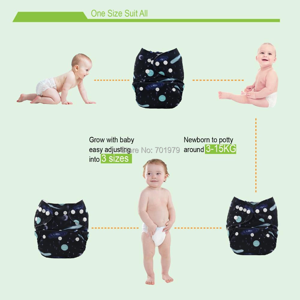ALVABABY 3 conchiglie + 3 inse - Pampers Diaper Premium Care recensione e prezzo